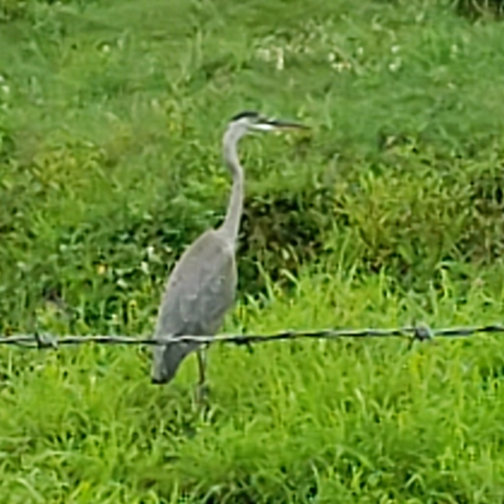 Meet your Posher, Claire